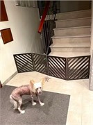 Ограждение для собаки. Перегородка для собак. Высота 58 см ширина 200 см .Цвет венге барьер полоски 200 венге