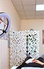 Ширма перегородка для зонирования комнаты. Модель ширмы - Фави 175*150 см Фави 150 белый-1