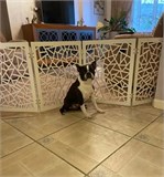 Барьер для собак .Ограждение для животных .размер 200*58 см . цвет Бежевый. барьер кристалл бежевый 200-1