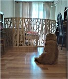 Ограждение для животных. Барьер для собаки . Модель Olmo . 90*200 см барьер олмо-200 см бежевый-1