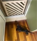 Барьер перегородка для собак .Ограждение для собак. Цвет бежевый. Высота 58 см ширина 100 мм. барьер полоски 100 бежевый-1